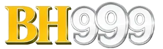 bh999
